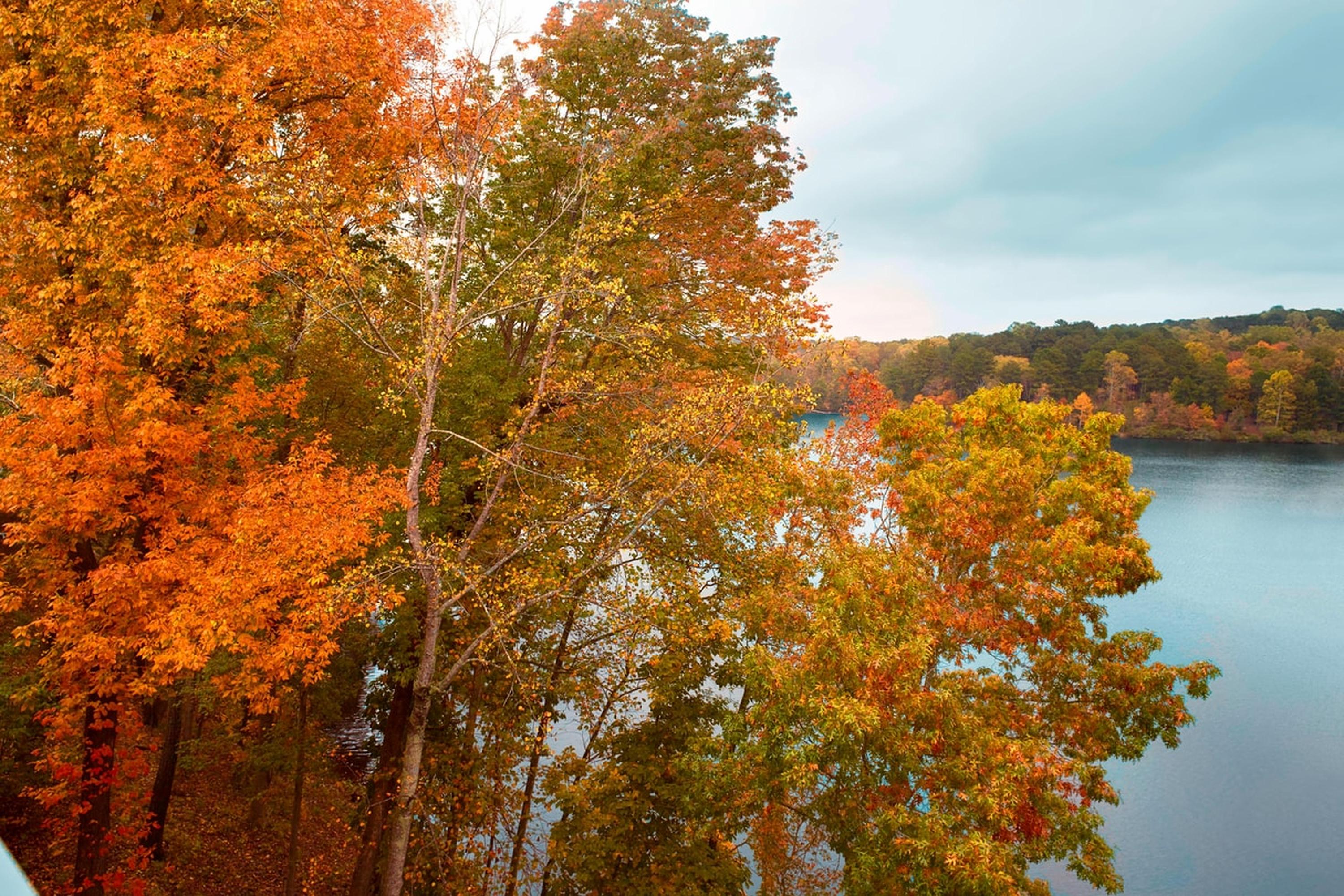 Atlanta Evergreen Lakeside Resort Stone Mountain Exteriér fotografie